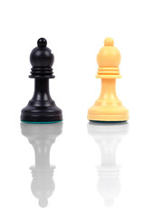 black and white  bishop