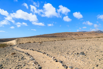 Fototapeta na wymiar Trekking trail path near Sotavento beach, Fuerteventura island