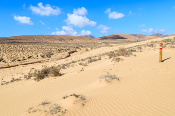 Fototapeta na wymiar Wooden sign on sand dune, Sotavento beach, Fuerteventura island