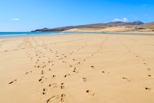 Beautiful golden sand Sotavento beach on Fuerteventura island