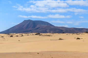 Sand dunes in Corralejo National Park, Fuerteventura island