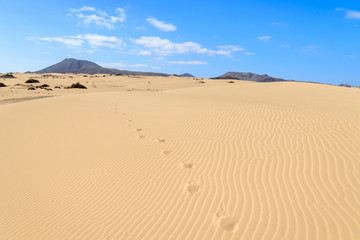Fototapeta na wymiar Footprints on sand dunes, Corralejo National Park, Fuerteventura