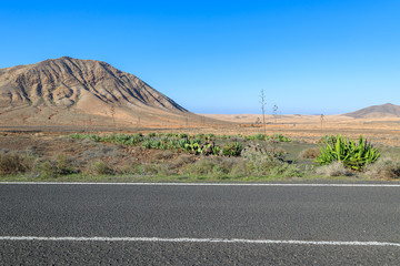 Mountain landscape and green plants, Tindaya town, Fuerteventura