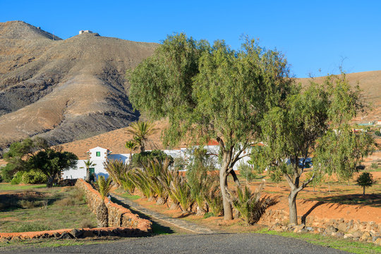 Farming fields in Tefia village, Fuerteventura island