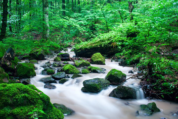 Obraz premium River Falls