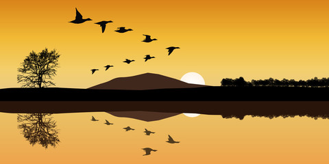 Paysage Canard Montagne