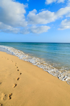 Footprints in sand on Jandia beach, Fuerteventura island