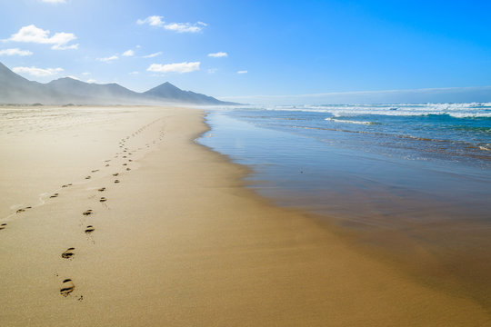 Footprints in sand on Cofete beach, Fuerteventura island