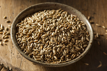 Organic Dry Raw Rye Grain