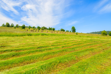 Hay on green meadow in summer landscape, Tatra Mountains, Poland