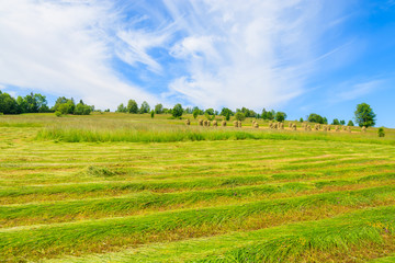Fototapeta na wymiar Hay on green meadow in summer landscape, Tatra Mountains, Poland