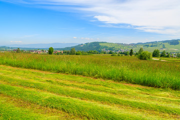 Fototapeta na wymiar Hay on green meadow in summer landscape, Tatra Mountains, Poland