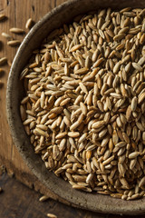 Organic Dry Raw Rye Grain
