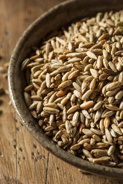 Organic Dry Raw Rye Grain