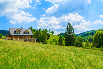 Wooden mountain house on green field in summer, Pieniny, Poland - obrazy, fototapety, plakaty