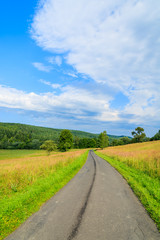 Fototapeta na wymiar Rural road in green fields in Bieszczady Mountains, Poland