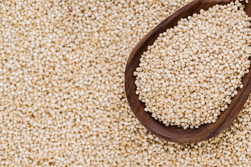 Portion of Quinoa