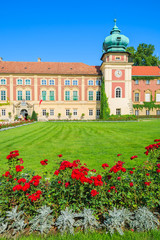 Fototapeta na wymiar Red roses in gardens of Lancut castle on sunny day, Poland