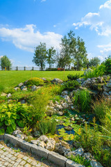 Plants around a water pond in garden on sunny summer day, Poland