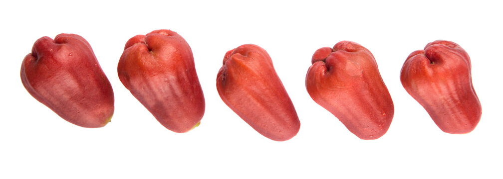 The exotic rose apple fruit over white background
