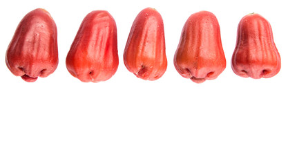 Fototapeta premium The exotic rose apple fruit over white background