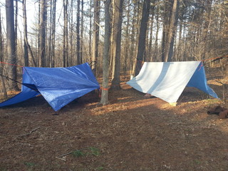 Hammock shelters in woods