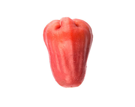 The exotic rose apple fruit over white background