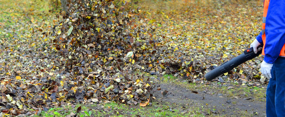 Cleaning autumn leaves4. The worker in a uniform clears a path u