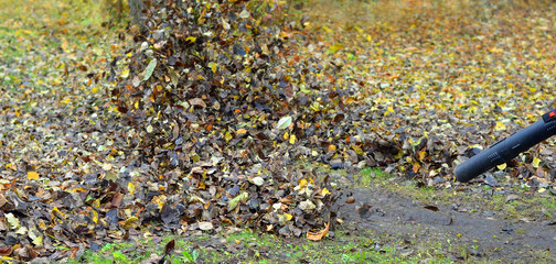 Cleaning autumn leaves3. Blower