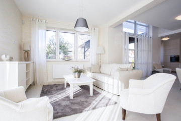 Luxury and spacious living room