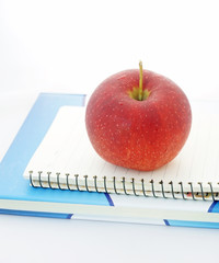 red apple sitting on an opened notebook
