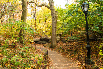 A footpath in the Central Park