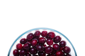 Cranberries, half circle of bowl at bottom of frame