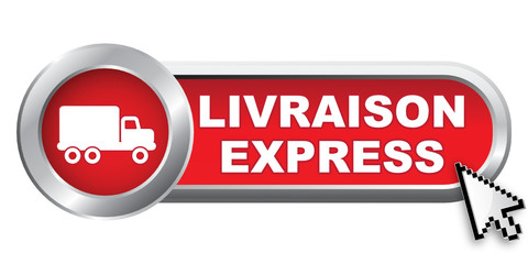 LIVRAISON EXPRESS ICON