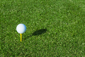 ゴルフ　ティーグラウンド