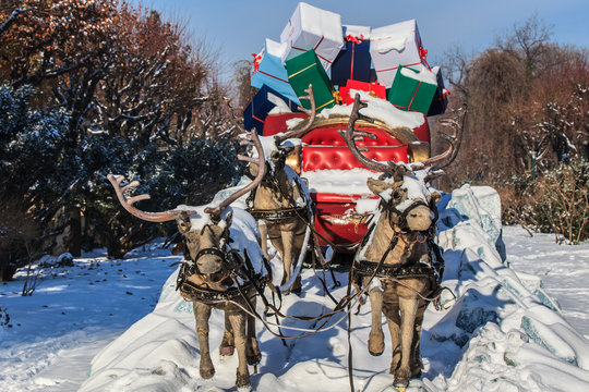 carriage with reindeer