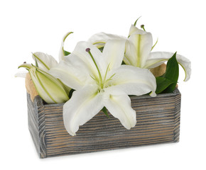 White lily in a wooden box