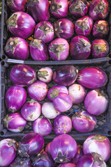Aubergine vegetable