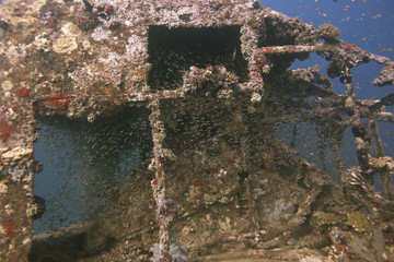 wreck