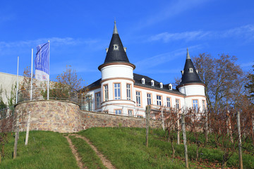 Schloss Hansenberg im Rheingau (Noveber 2014)