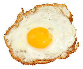 Fried Egg