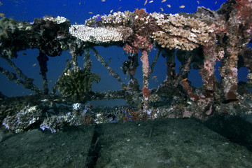 wreck