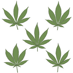 Set of natural marijuana leaves.