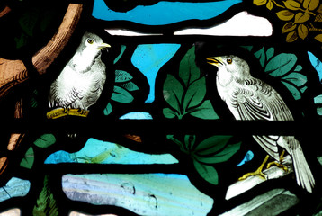 Birds in stained glass
