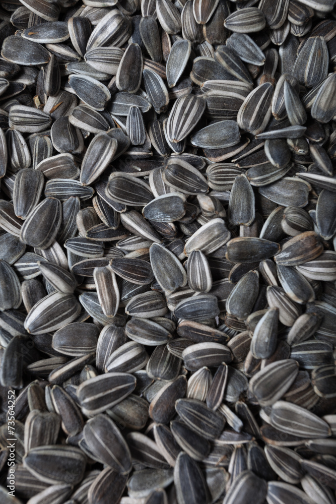 Wall mural sunflower seeds