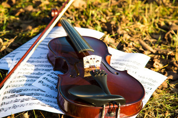 Violin and notes on autumn leaves