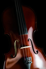 Violin on a black background