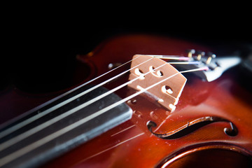 Violin on a black background