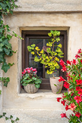 Fototapeta na wymiar Blumengeschmücktes Fenster