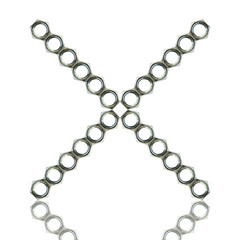 Nut isolated on a white background